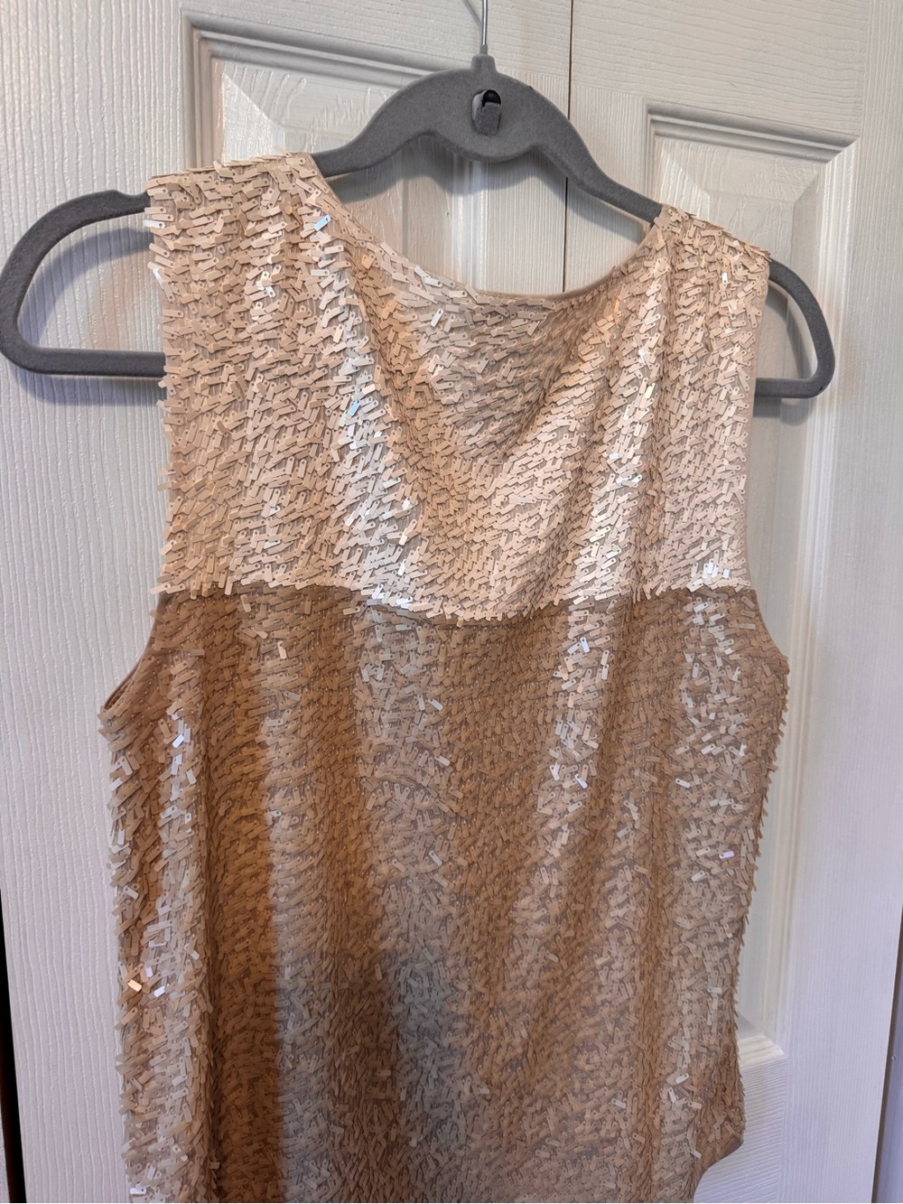 J.Crew Woman’s Size Medium Sequined Sleeveless Embellished Top Champagne - Picture 8 of 13